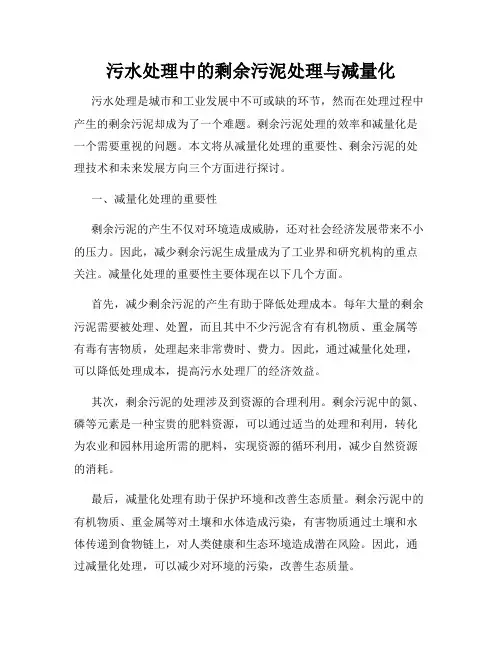 污水处理中的剩余污泥处理与减量化