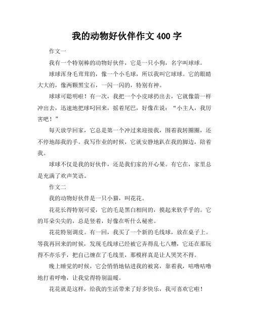 我的动物好伙伴作文400字