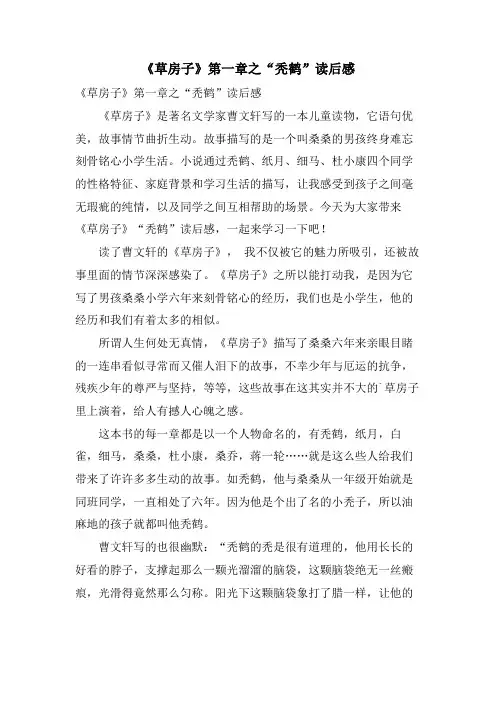 《草房子》第一章之“秃鹤”读后感