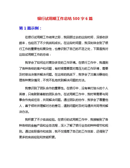 银行试用期工作总结500字6篇