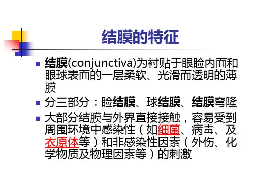 结膜炎的诊治原则ppt课件