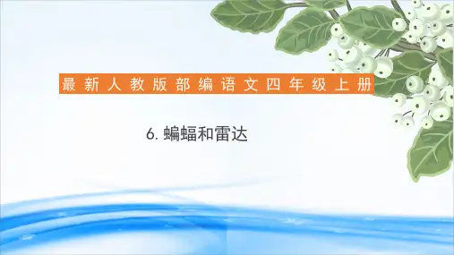 6.蝙蝠和雷达 (共11张PPT)  [优秀课件资料]