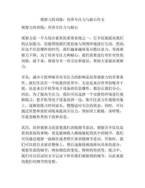 观察力的训练：培养专注力与耐心作文