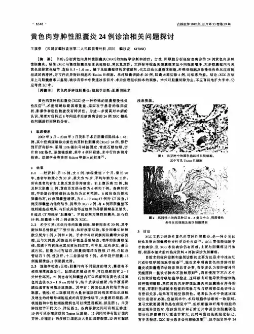 黄色肉芽肿性胆囊炎24例诊治相关问题探讨