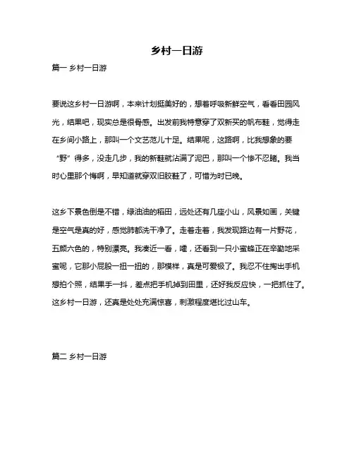 作文《乡村一日游》
