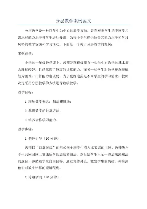 分层教学案例范文