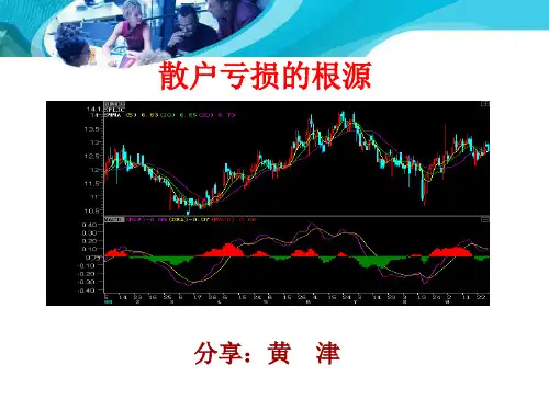 散户亏损的根源ppt课件