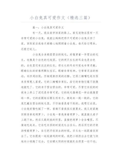 小白兔真可爱作文(精选三篇)