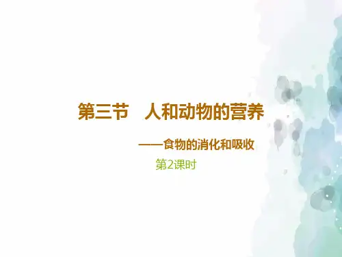 北京课改版生物-七年级上册-高效备课 《人和动物的营养》第2课时 课件1