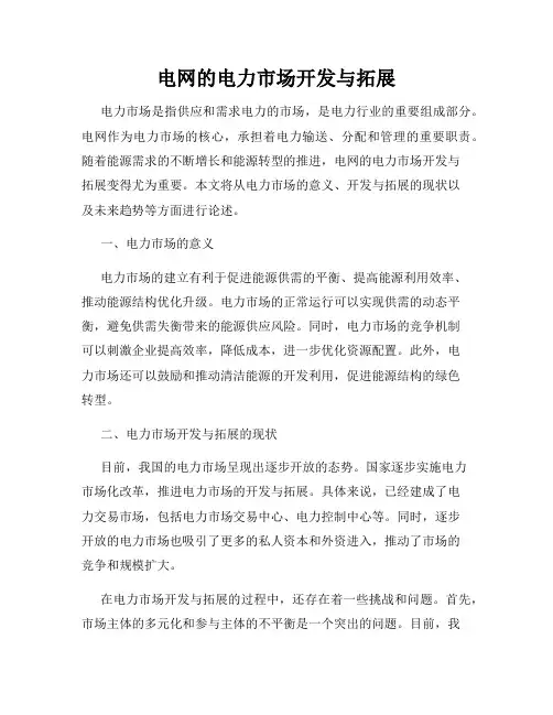 电网的电力市场开发与拓展