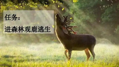 鹿角和鹿腿ppt课件