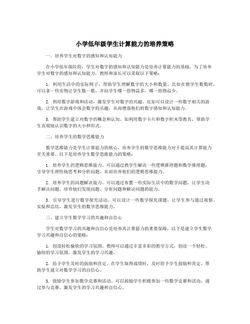 小学低年级学生计算能力的培养策略