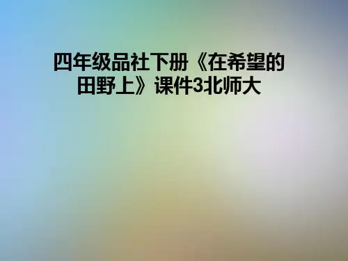 四年级品社下册《在希望的田野上》课件3北师大