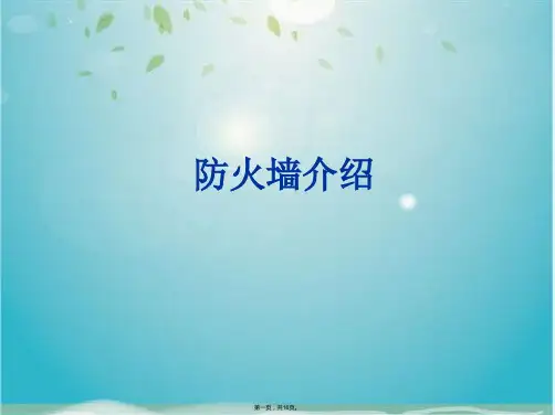 防火墙介绍(共16张PPT)