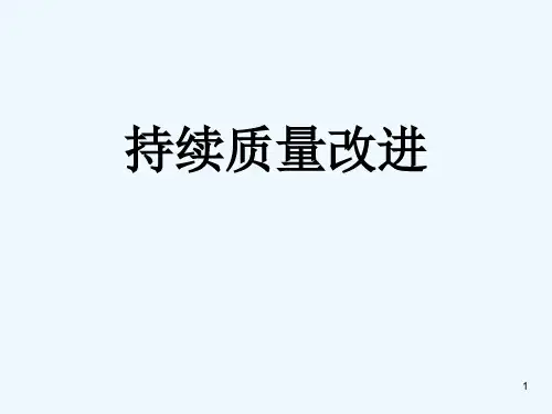 持续质量改进 PPT