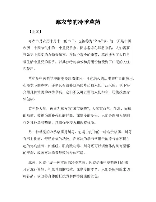 寒衣节的冷季草药