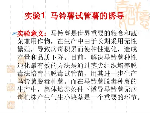 实验1 1MS培养基母液和常用试剂的配制