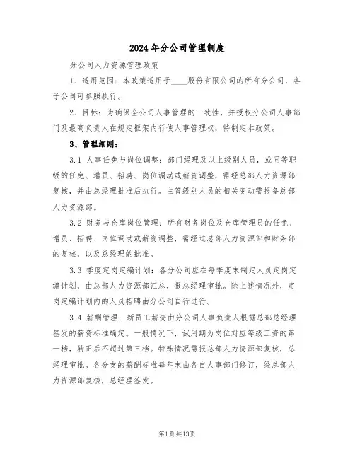 2024年分公司管理制度（五篇）