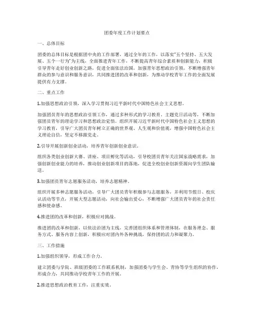 团委年度工作计划要点