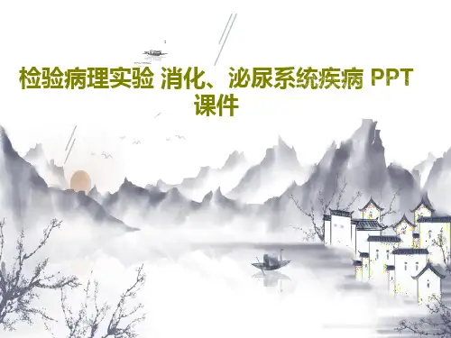 检验病理实验 消化、泌尿系统疾病 PPT课件36页PPT