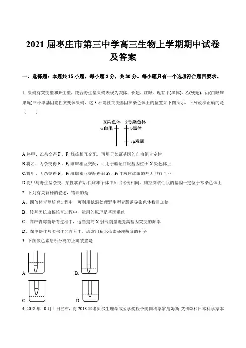 2021届枣庄市第三中学高三生物上学期期中试卷及答案