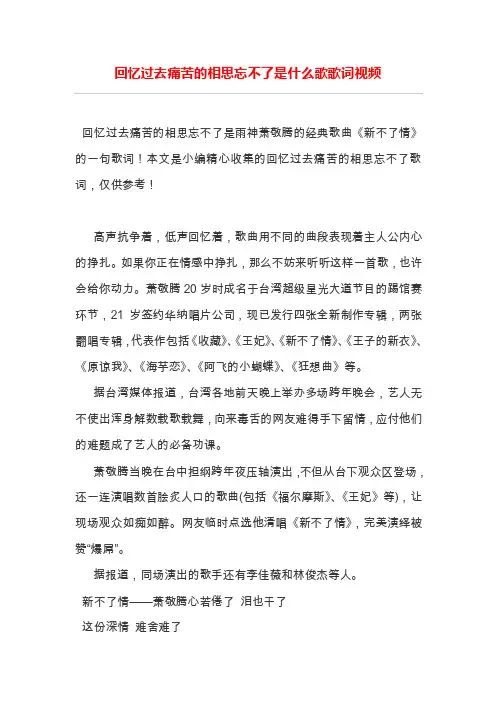 回忆过去痛苦的相思忘不了是什么歌歌词视频