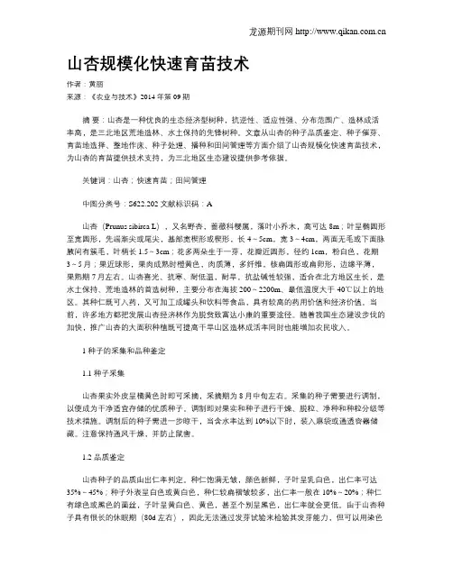 山杏规模化快速育苗技术