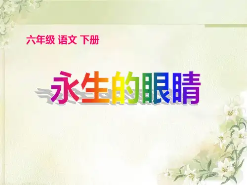 《永生的眼睛》ppt课件