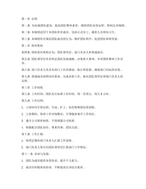 团队制度规章制度细则