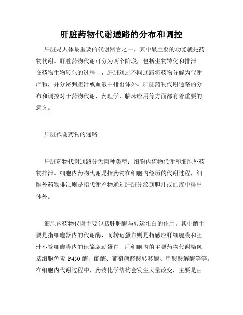 肝脏药物代谢通路的分布和调控