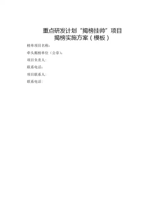 项目揭榜实施方案