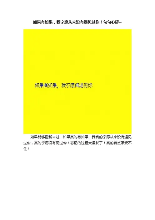 如果有如果，我宁愿从来没有遇见过你！句句心碎~