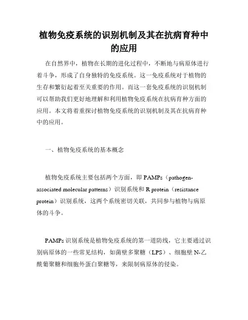 植物免疫系统的识别机制及其在抗病育种中的应用