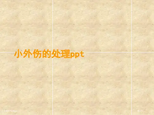 小外伤的处理ppt