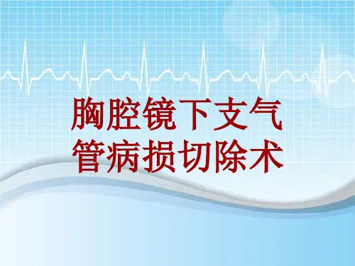 手术讲解模板：胸腔镜下支气管病损切除术