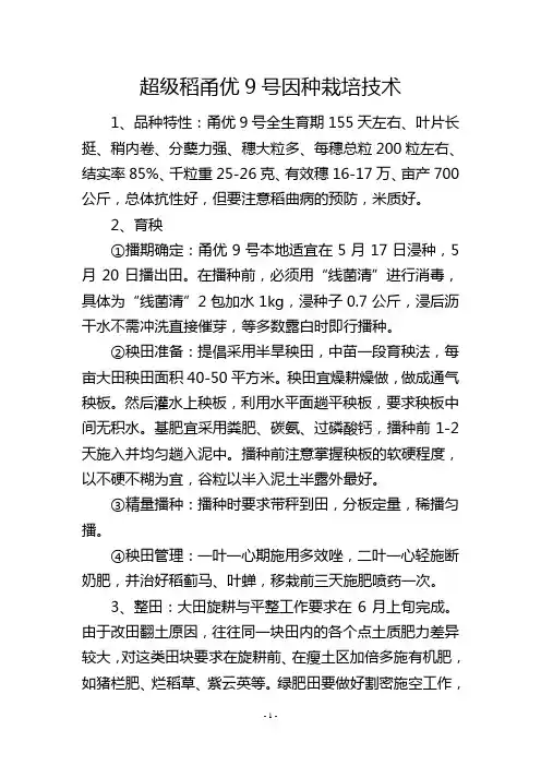 超级稻甬优9号因种栽培技术