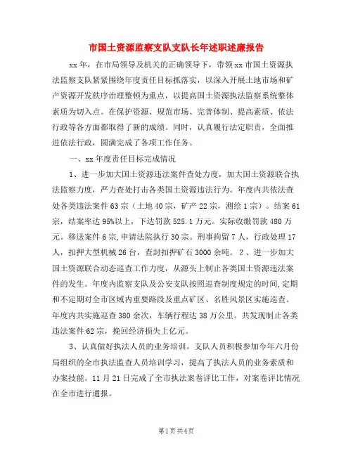 市国土资源监察支队支队长年述职述廉报告