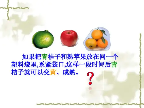 沪科版化学高二下册-11.2.2 石油炼制    乙烯 课件 