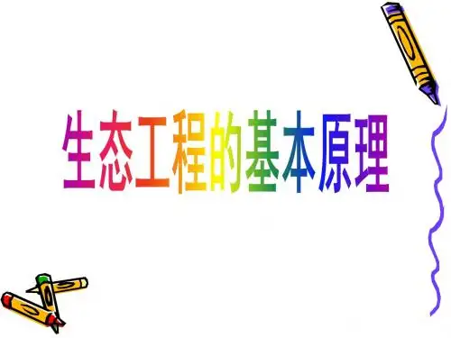 生态工程的基本原理(公开课)综述