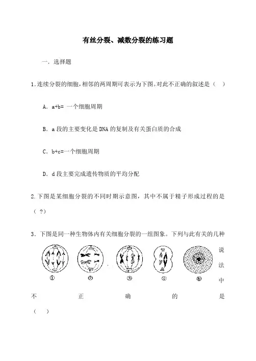 有丝分裂、减数分裂的练习题附答案
