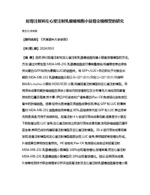 胫骨注射和左心室注射乳腺癌细胞小鼠骨定植模型的研究