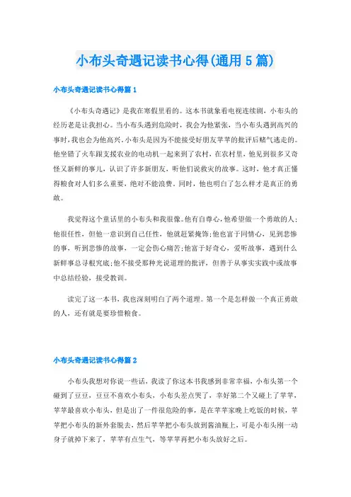 小布头奇遇记读书心得(通用5篇)