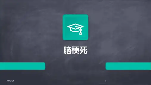 2024版年度脑梗死