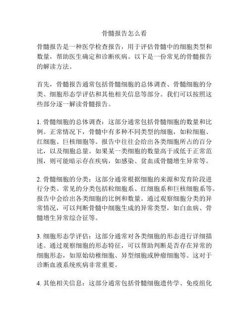 骨髓报告怎么看
