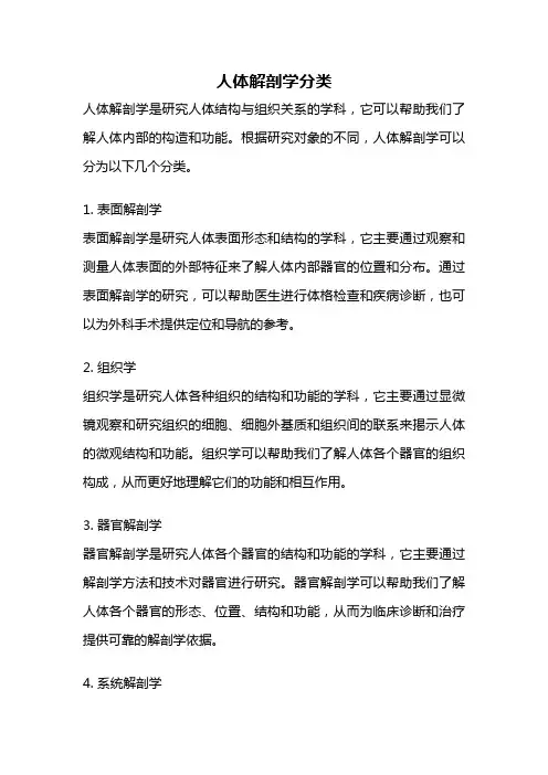人体解剖学分类