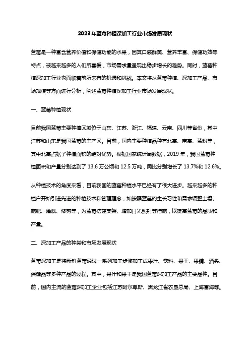 2023年蓝莓种植深加工行业市场发展现状