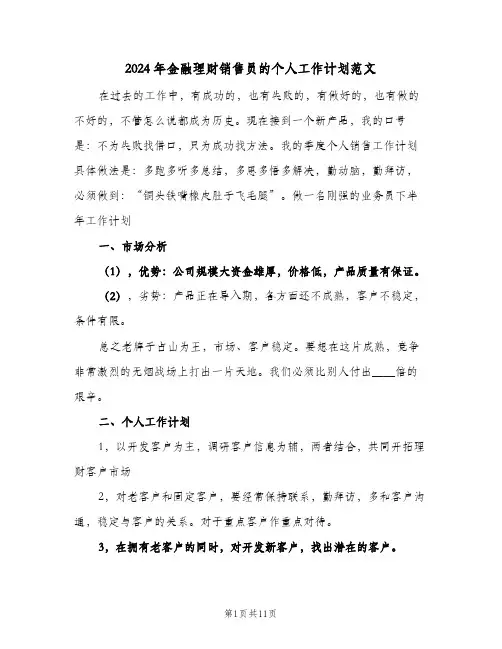 2024年金融理财销售员的个人工作计划范文（四篇）