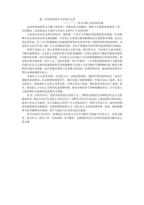 做一名坚定的青年马克思主义者