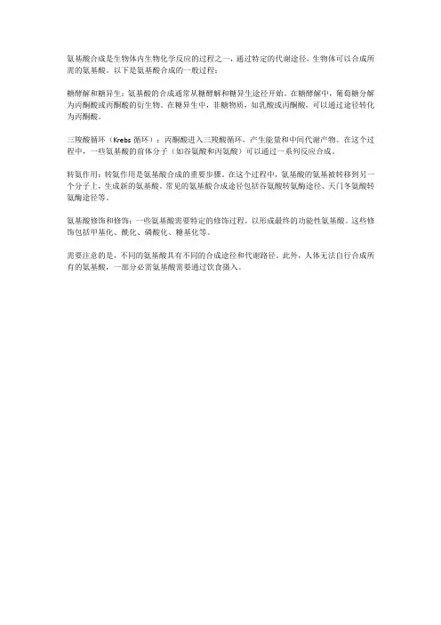 氨基酸合成过程
