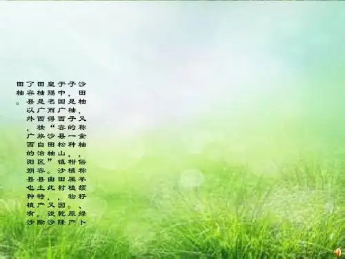 沙田柚